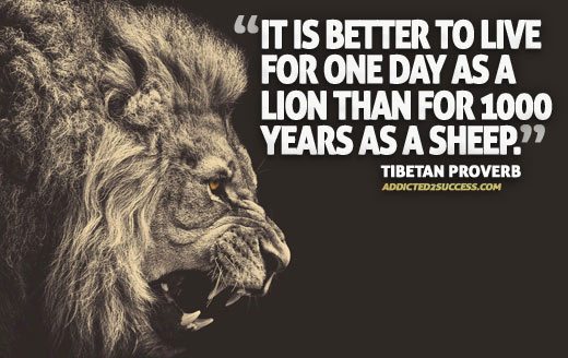 Lion Sheep Motivation Quote