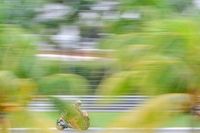 The under-the-radar MotoGP riders to keep an eye on